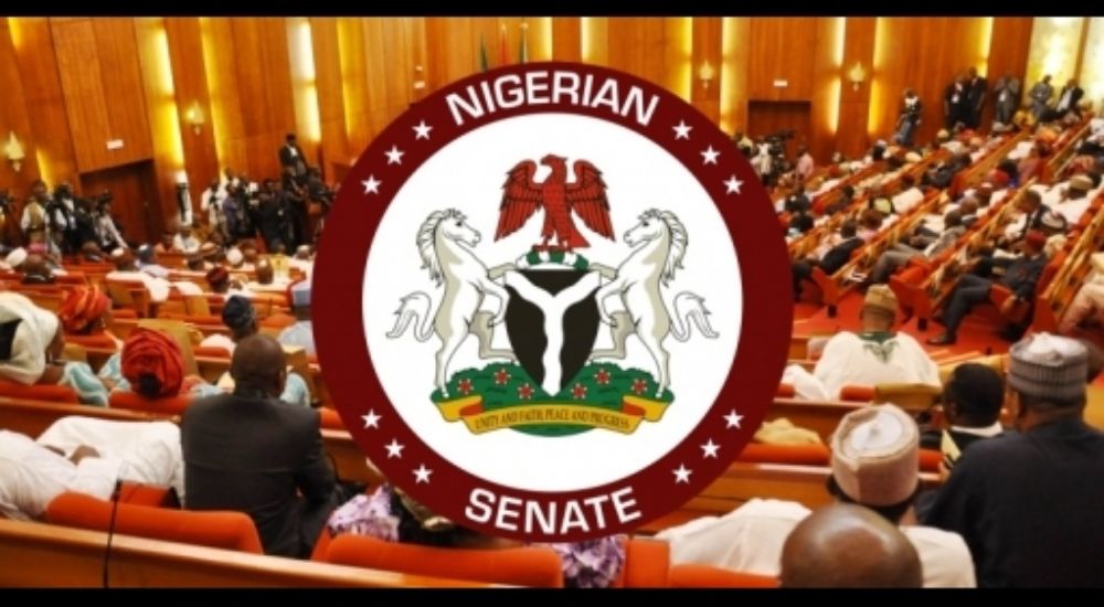 Insecurity: Senate Approves ₦403.1bn Police Trust Fund Budgets For 2025, 2026